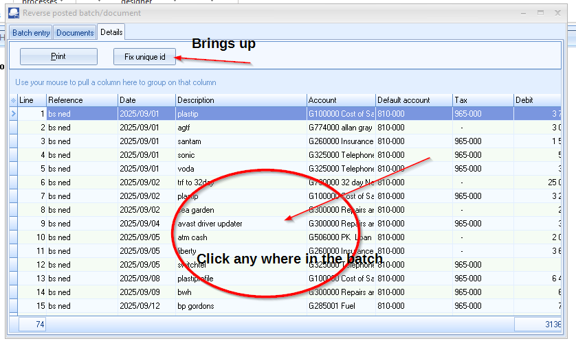 Batch entries list